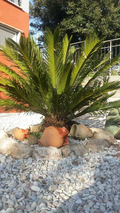 B&B La Mita Giuliano di Roma Eksteriør billede