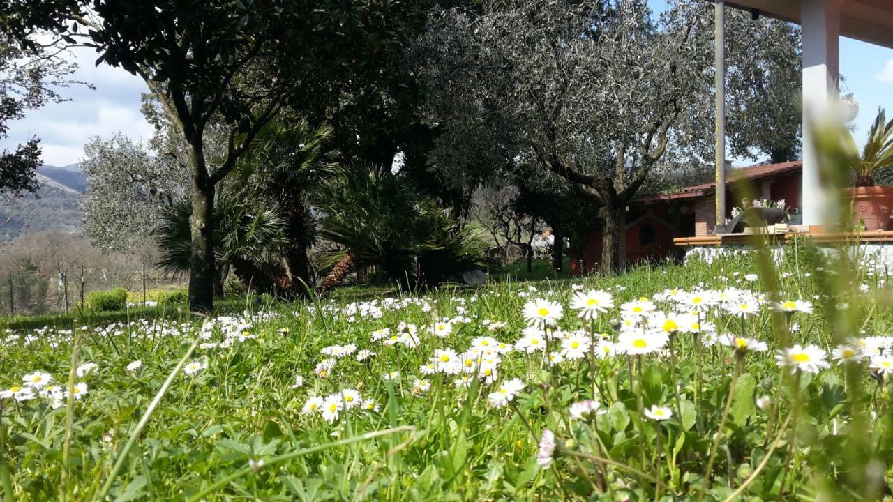 B&B La Mita Giuliano di Roma Eksteriør billede